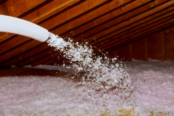 Best Insulation Maintenance and Repair in Spotsylnia Courthouse, VA