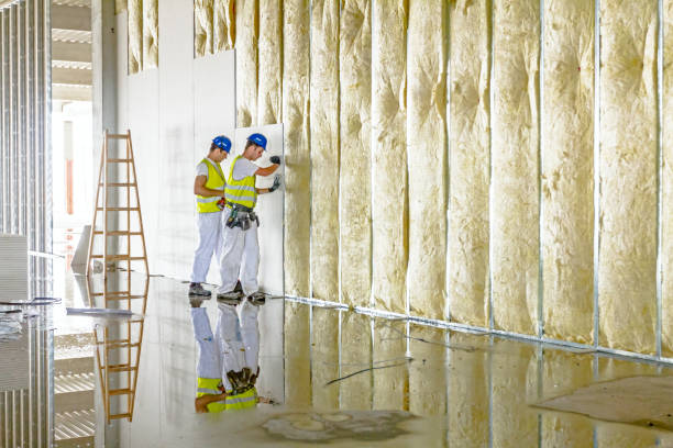 Best Commercial Insulation in Spotsylnia Courthouse, VA